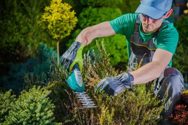 landscaping services Edmonton